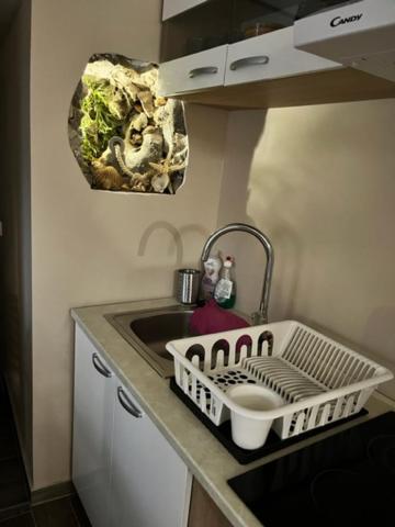 Salt & Soul Apartment Senj  Ngoại thất bức ảnh